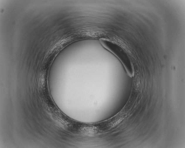 X0000085000595200703191052