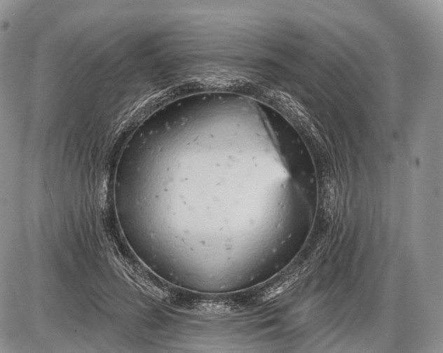 X0000085000596200703191052