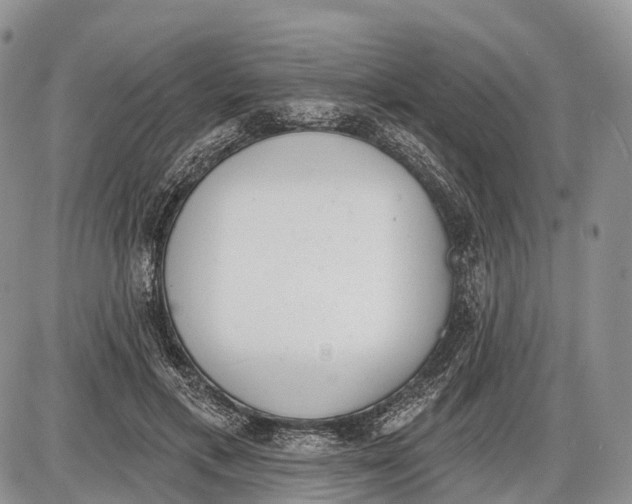 X0000085000597200703191052