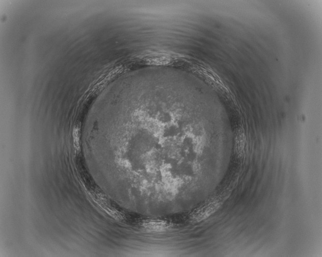 X0000085000598200703191052