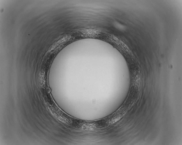 X0000085000599200703191052