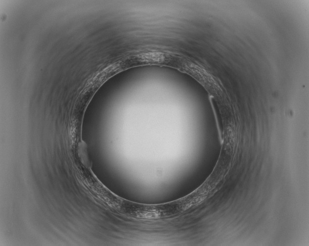 X0000085000600200703191052