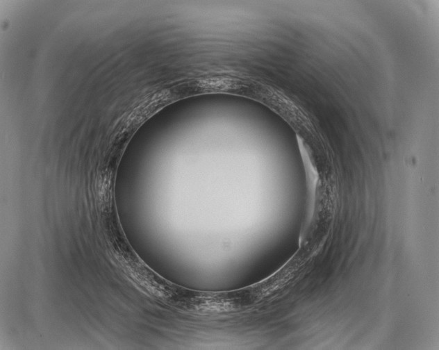 X0000085000601200703191052