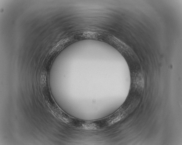 X0000085000603200703191052