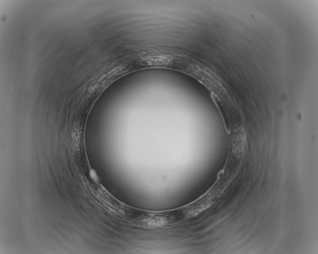 X0000085000604200703191052