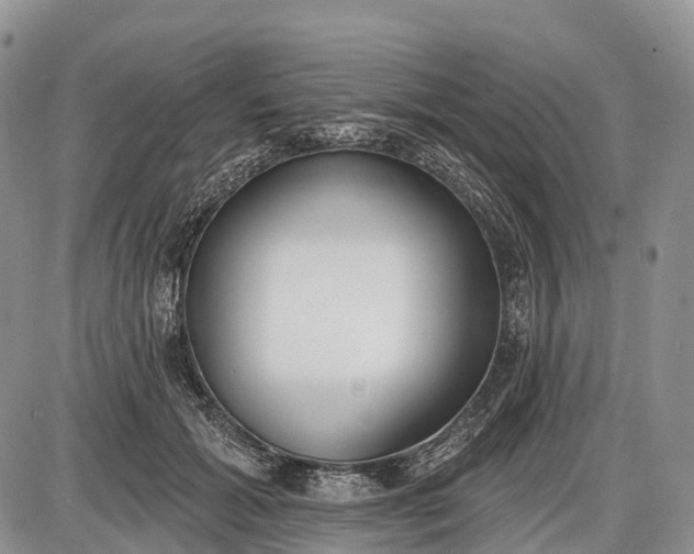 X0000085000605200703191052