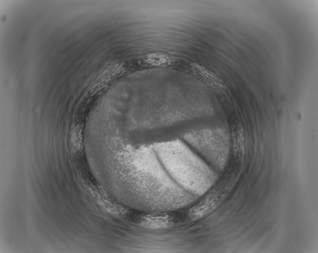 X0000085000606200703191052