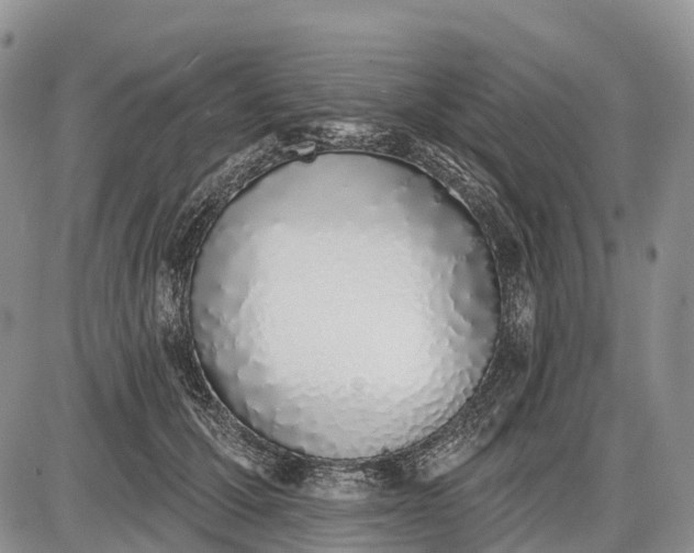 X0000085000607200703191052