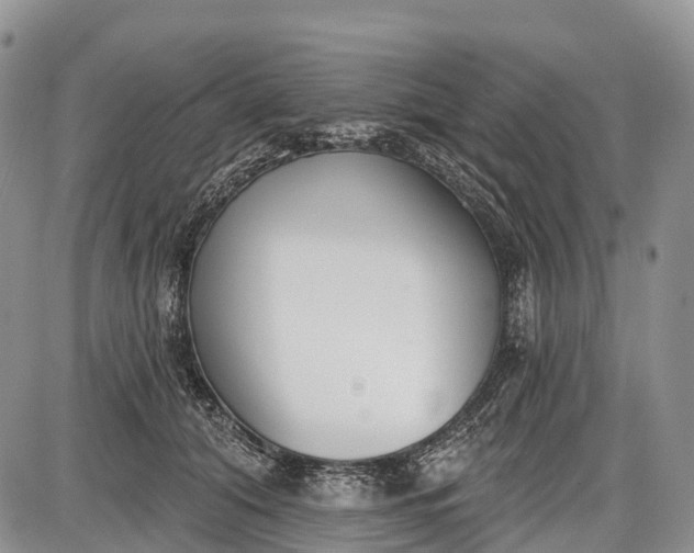 X0000085000608200703191052