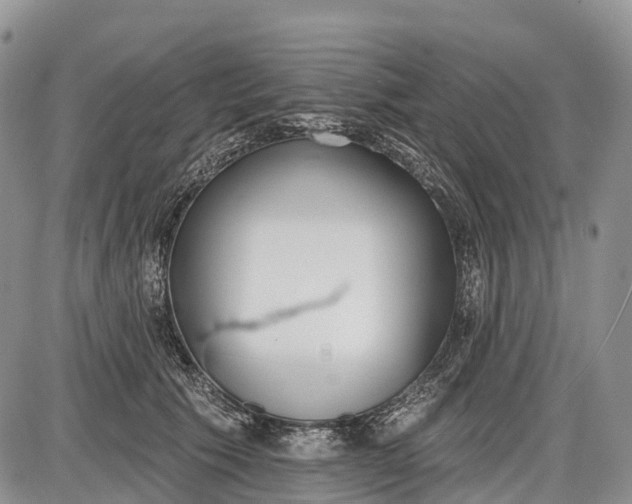 X0000085000609200703191051