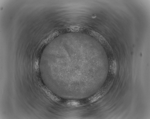 X0000085000610200703191051