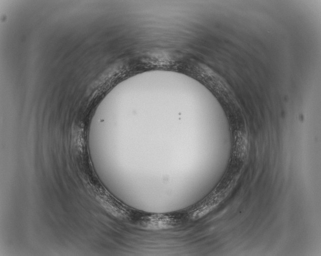 X0000085000612200703191051