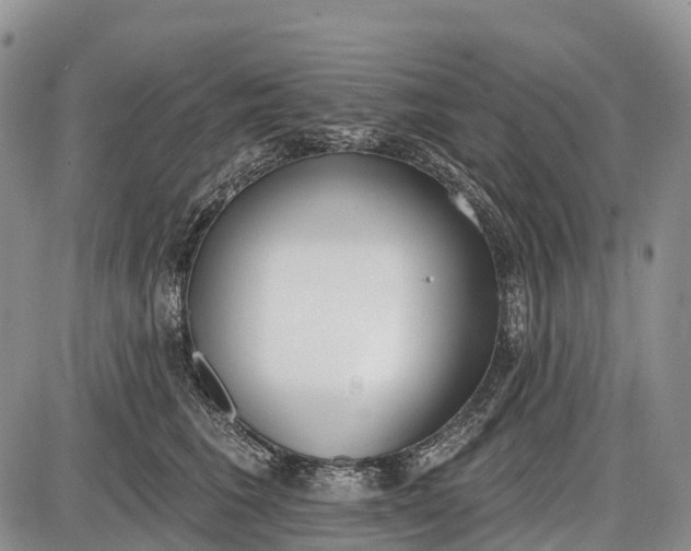 X0000085000613200703191051