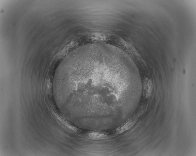 X0000085000614200703191051