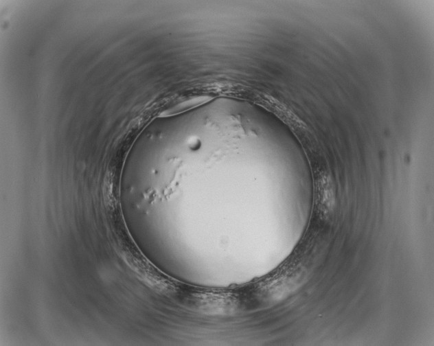 X0000085000615200703191051