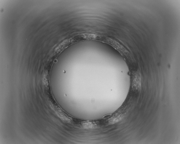 X0000085000616200703191051