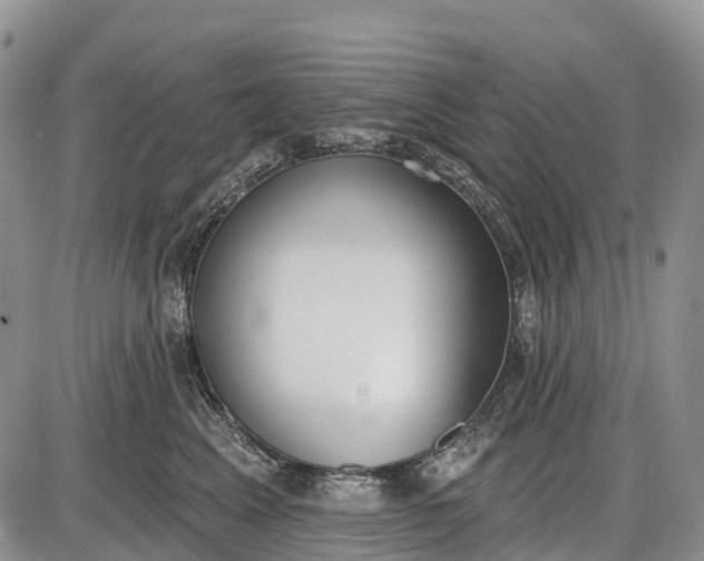 X0000085000617200703191051