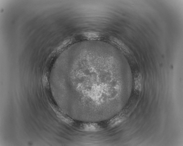 X0000085000618200703191051