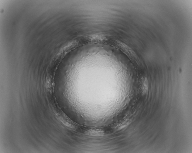 X0000085000619200703191051