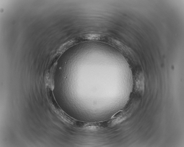 X0000085000620200703191051