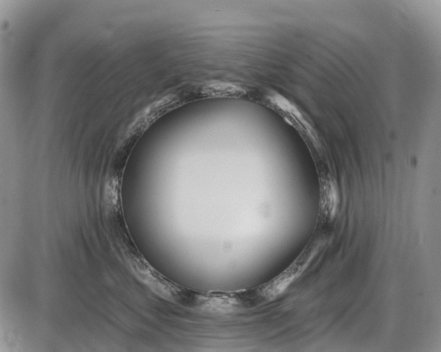 X0000085000621200703191051