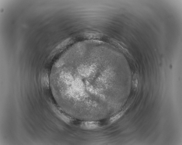 X0000085000622200703191051