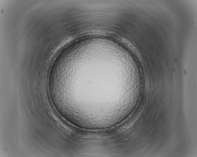 X0000085000625200703191050