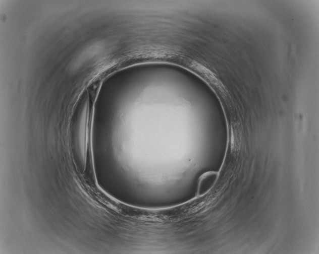 X0000085000627200703191050