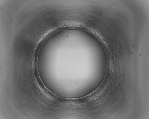 X0000085000629200703191051