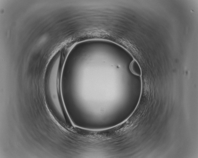 X0000085000630200703191051