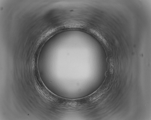 X0000085000631200703191051