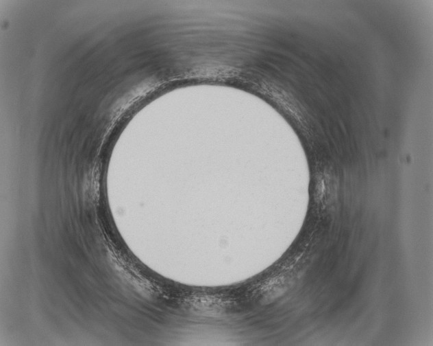 X0000085000632200703191051