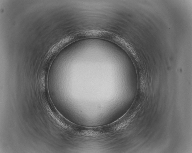 X0000085000633200703191051