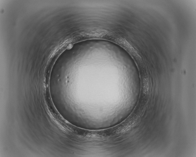 X0000085000634200703191051