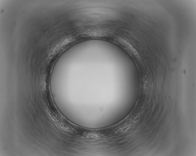 X0000085000635200703191051