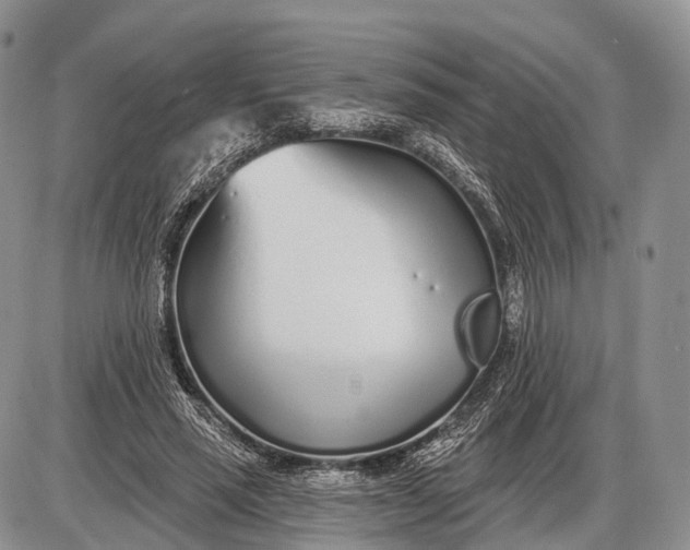 X0000085000637200703191051