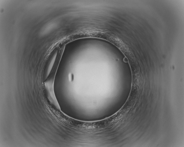 X0000085000640200703191051