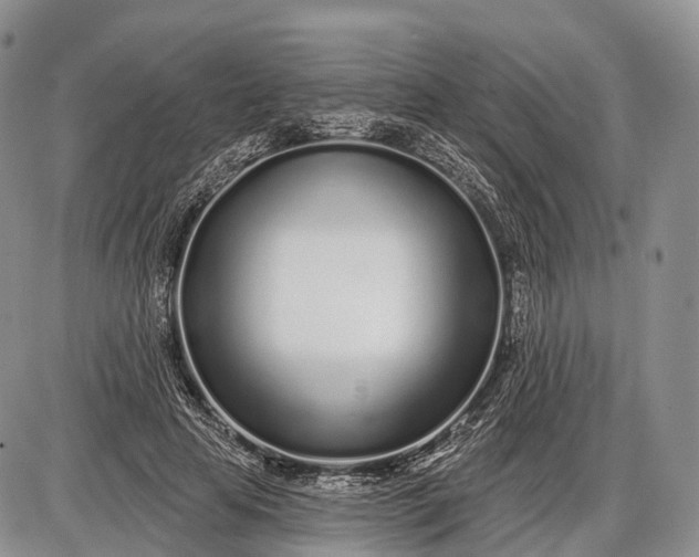 X0000085000641200703191051