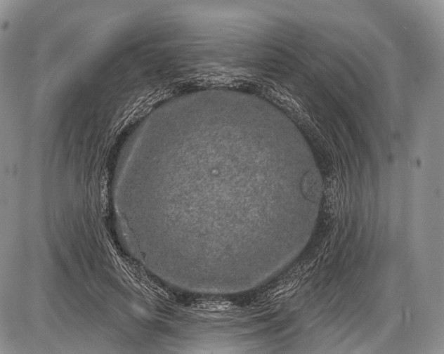 X0000085000642200703191051