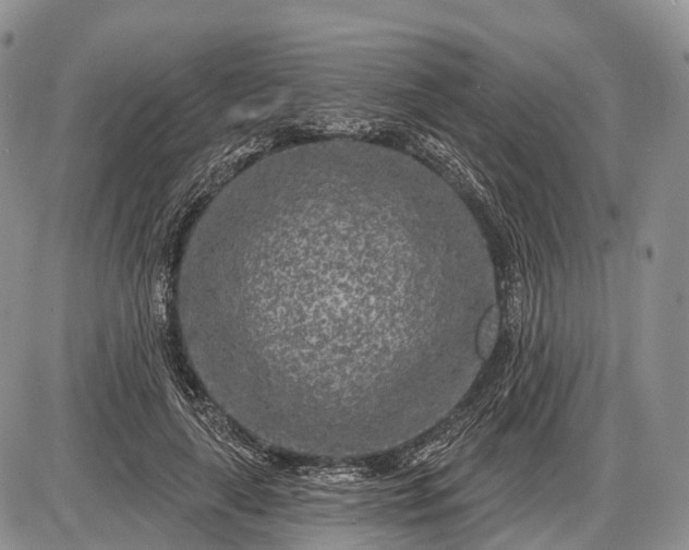 X0000085000643200703191051