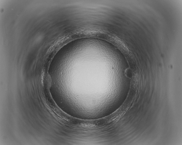 X0000085000644200703191051