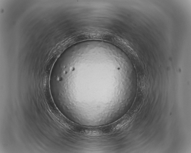 X0000085000645200703191051