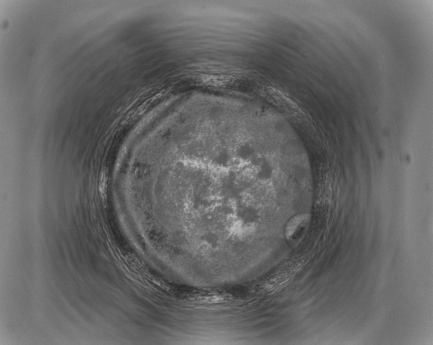 X0000085000646200703191051