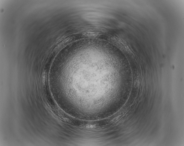 X0000085000647200703191051