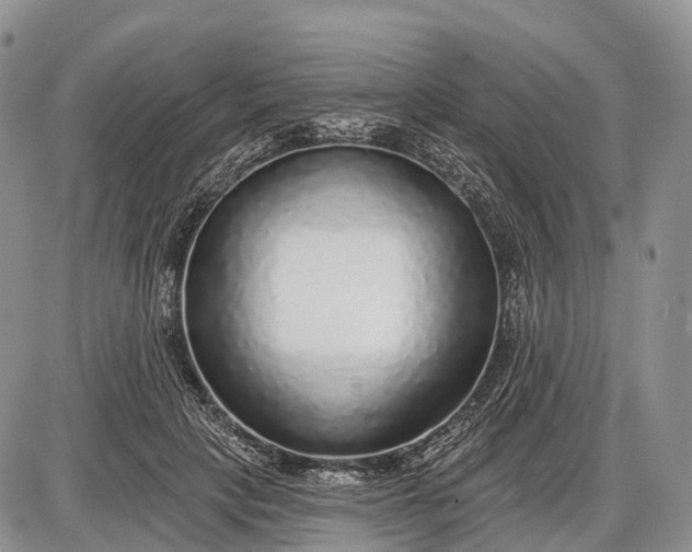 X0000085000649200703191051