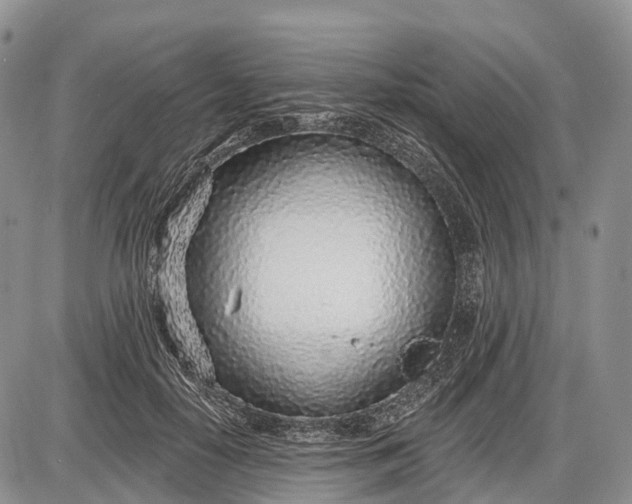 X0000085000650200703191051