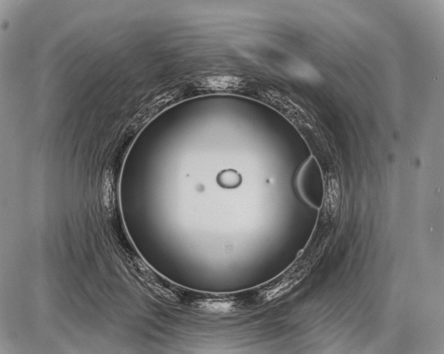 X0000085000651200703191051