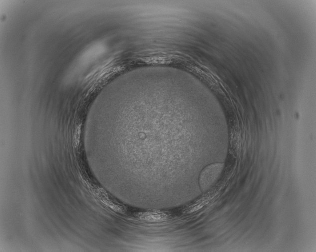 X0000085000652200703191051