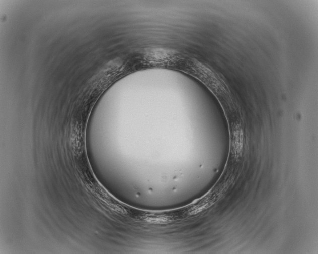 X0000085000653200703191051