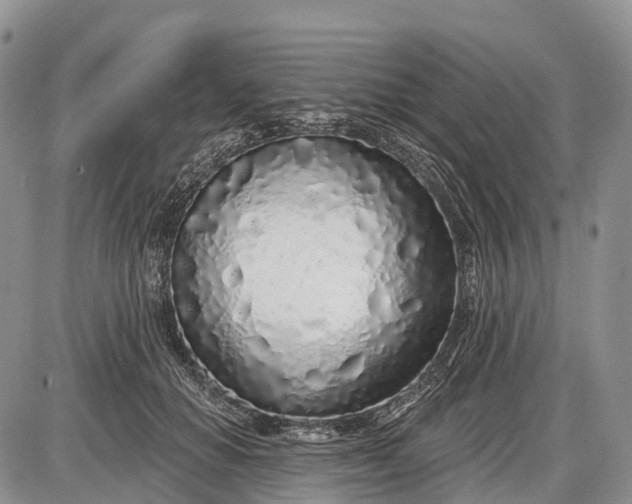 X0000085000654200703191051